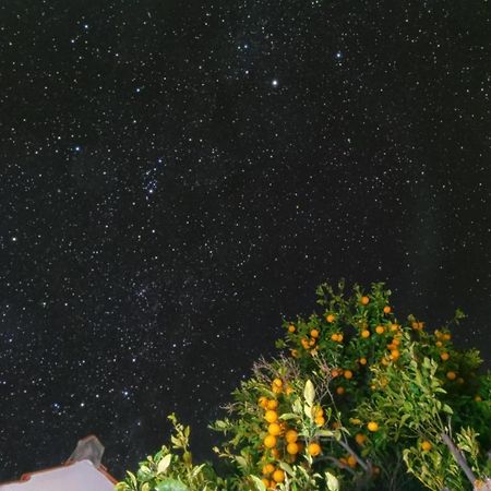 "Villa Servanda " - Relax, Nature, Wide Views Of The Sea And A Starry Sky Puntagorda Zewnętrze zdjęcie