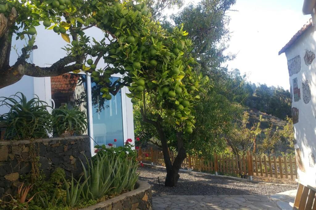 "Villa Servanda " - Relax, Nature, Wide Views Of The Sea And A Starry Sky Puntagorda Zewnętrze zdjęcie
